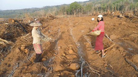云南：筑起中缅边境和谐长城