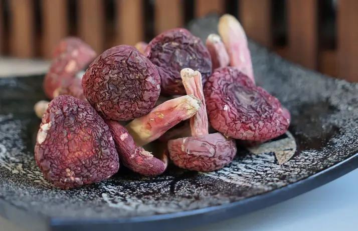 福建十大土特产排名推荐,送礼倍有面!