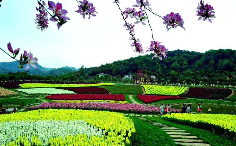 宜宾有什么好玩的地方?宜宾旅游十大必去景点!