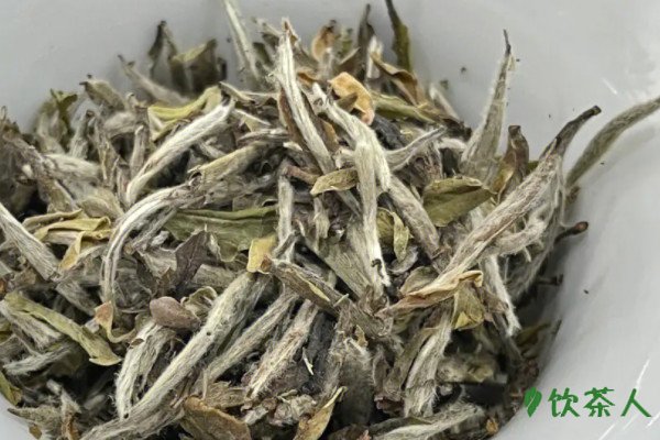 福建五大名茶,福建什么茶叶最出名好喝(名称及特点简介)