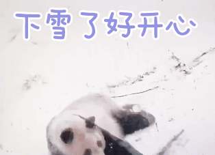 西安飘雪啦~~~冷空气到货！陕西未来几天天气……