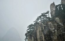 黄山安徽省省辖市