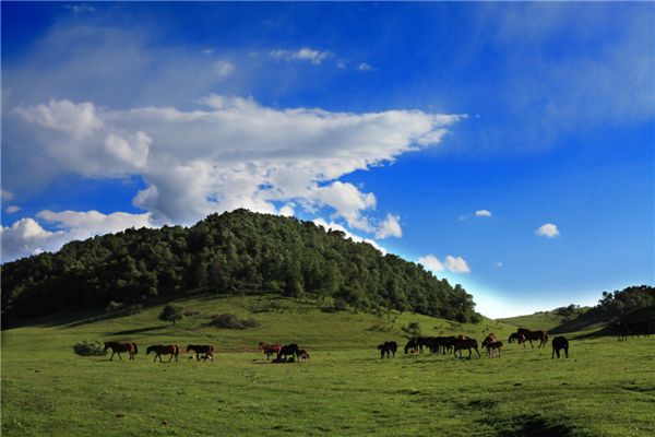 宝鸡的气候怎么样,属于什么气候?