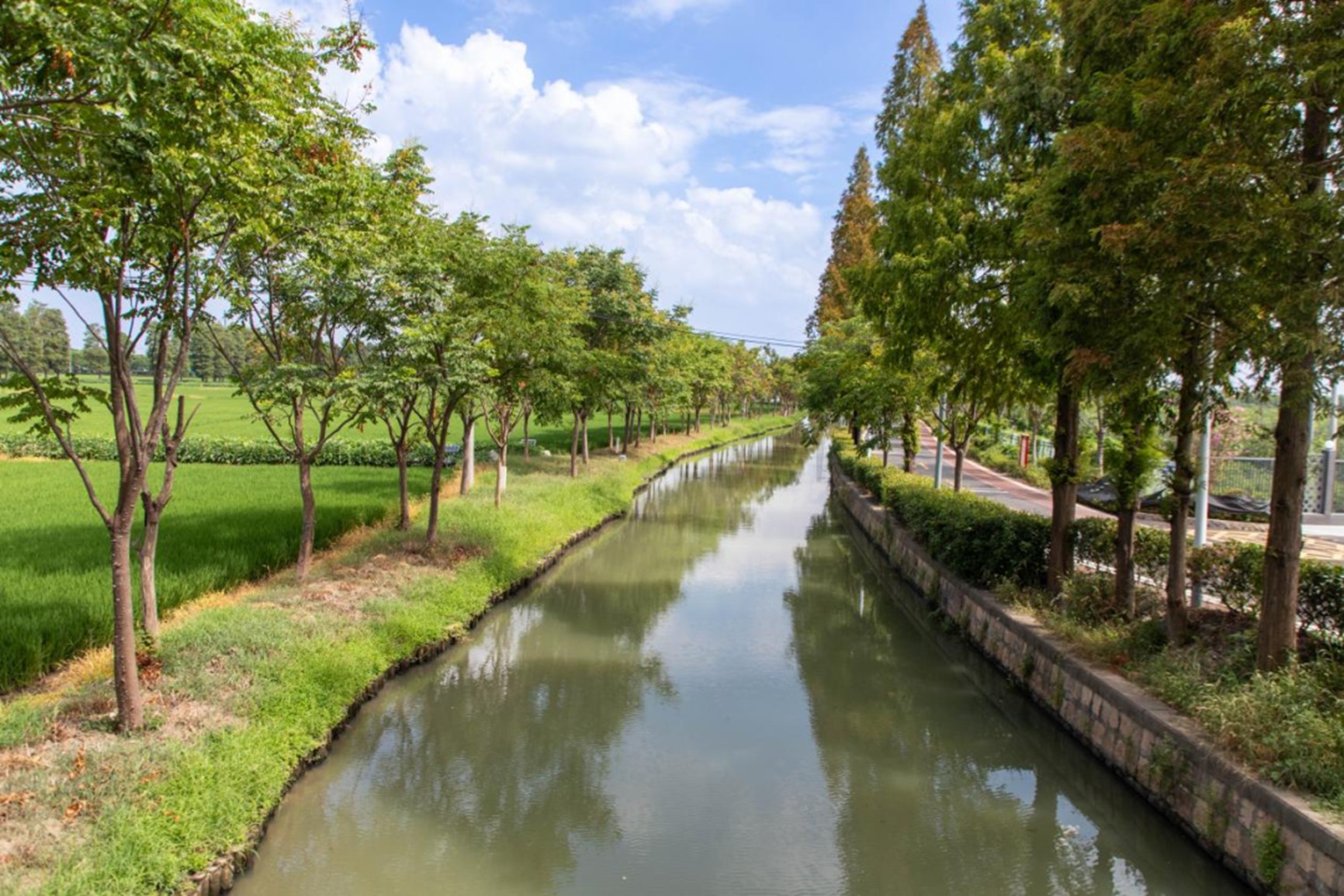秋日“沪”水游丨青浦，江南秋日胜春朝