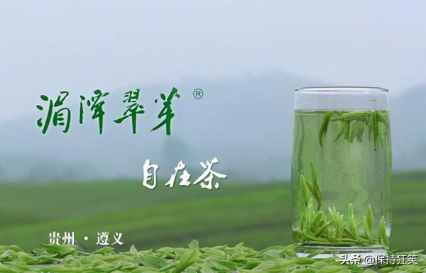 贵州十大土特产(贵州省十大特产及排行榜)