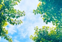 山东未来三天晴热持续 鲁西北局地高温达39℃