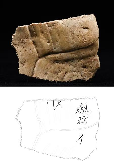 记载有“秦人”二字的甲骨。陕西省考古研究院供图