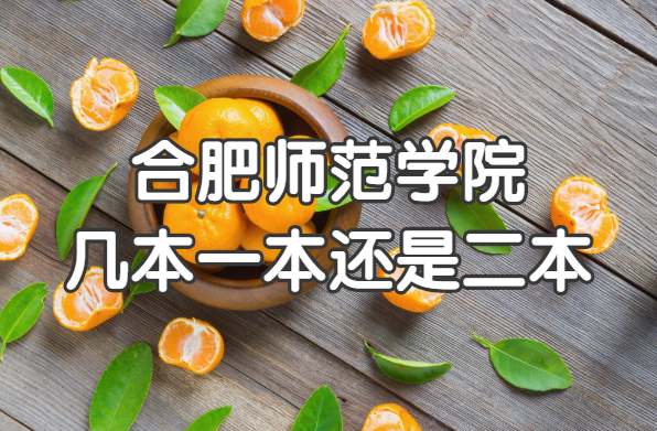 合肥师范学院几本?一本还是二本?(附安徽省本科院校一览表)
