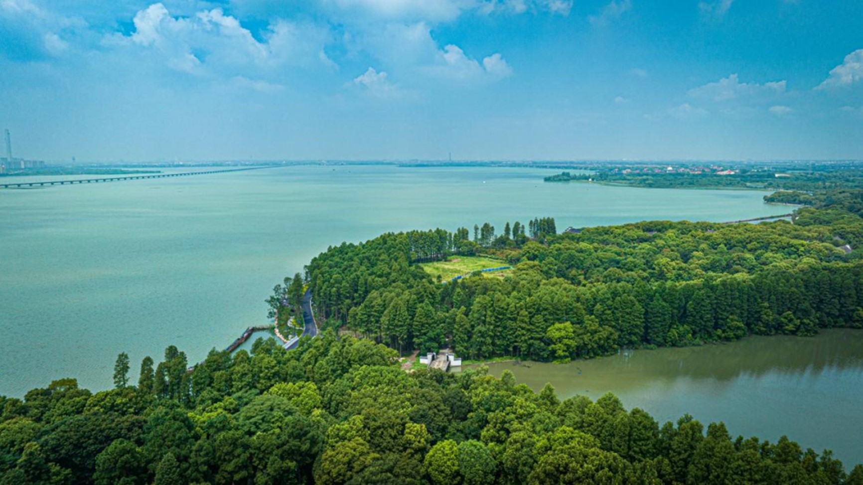 秋日“沪”水游丨青浦，江南秋日胜春朝