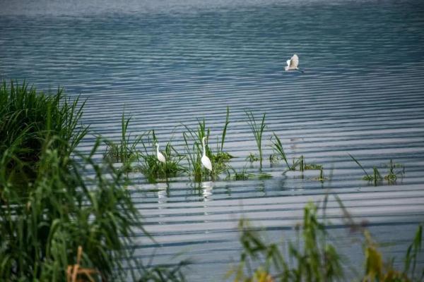 超出片的昆明周边打卡地 走起~