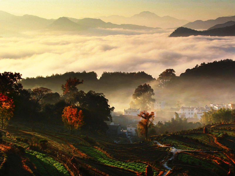 11月份婺源必去的景点