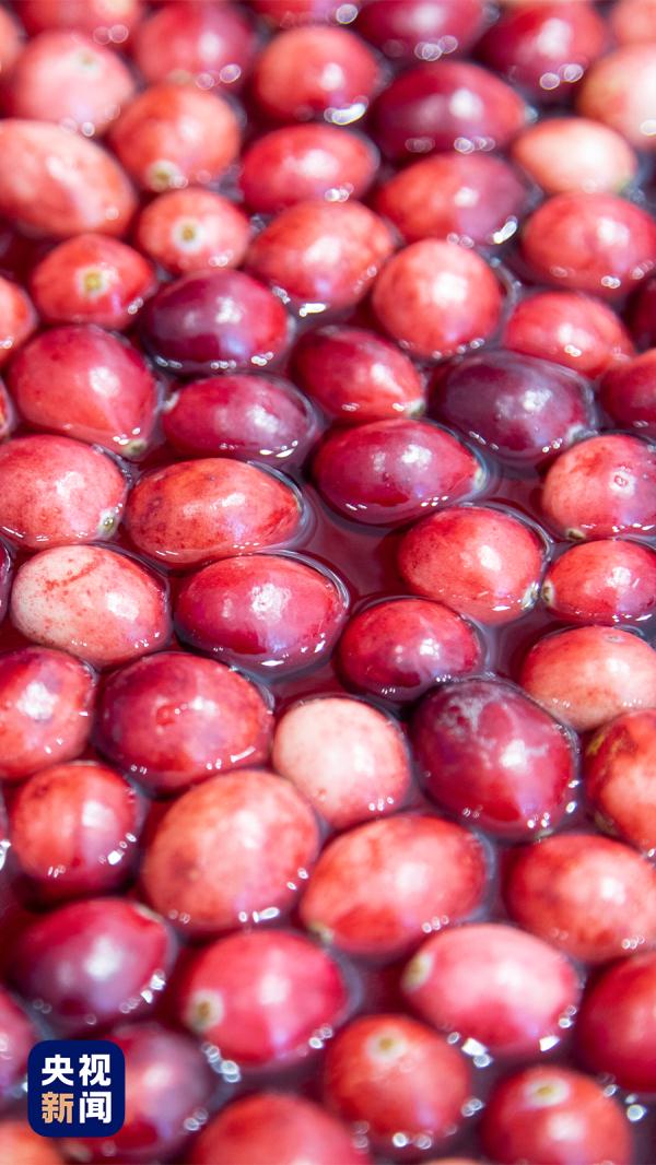 “我的家乡特产,难道特地瞒着我产?”