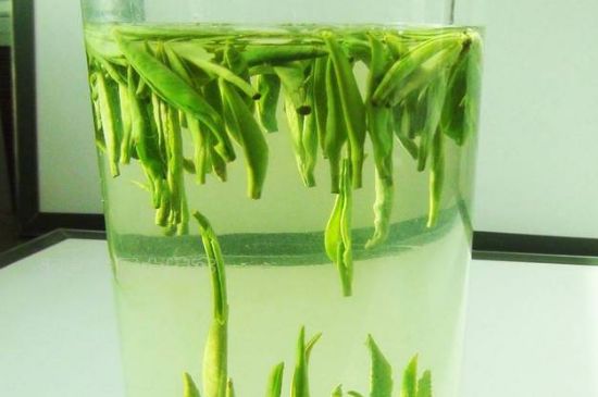 河南十大名茶,河南名茶排行榜前十名