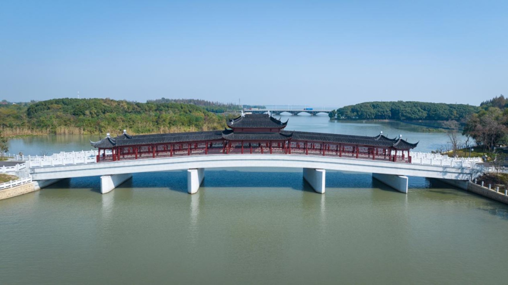 秋日“沪”水游丨青浦，江南秋日胜春朝