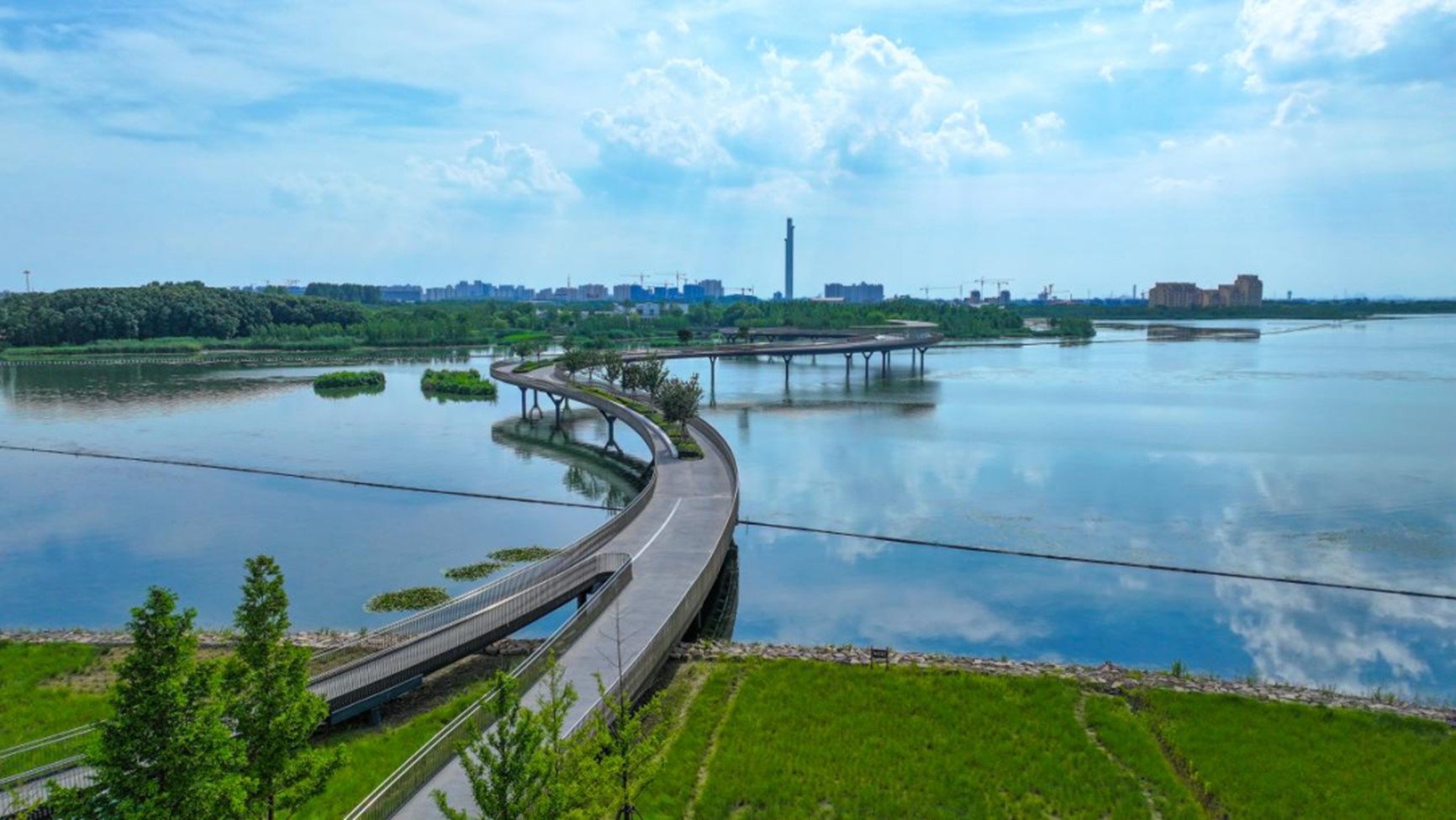 秋日“沪”水游丨青浦，江南秋日胜春朝