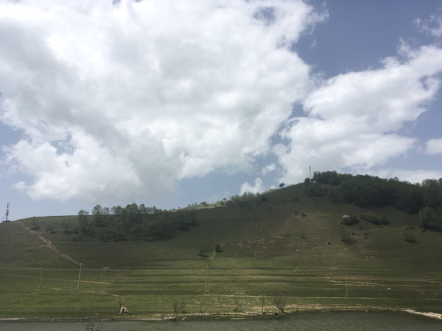 "路况很好,到关山牧场售票处,成人门票65,孩子32,车子5元,服务人员服务很好,热情,进入景区..._关山草原"的评论图片