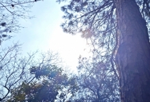 今起三天华北等地高温晴晒天气持续 东北多地或现今年首个高温