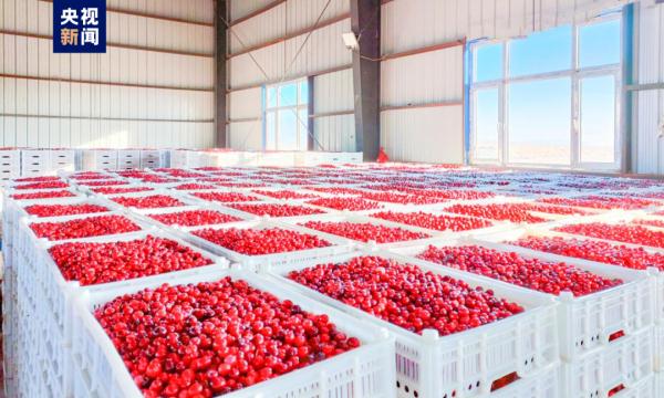 “我的家乡特产,难道特地瞒着我产?”