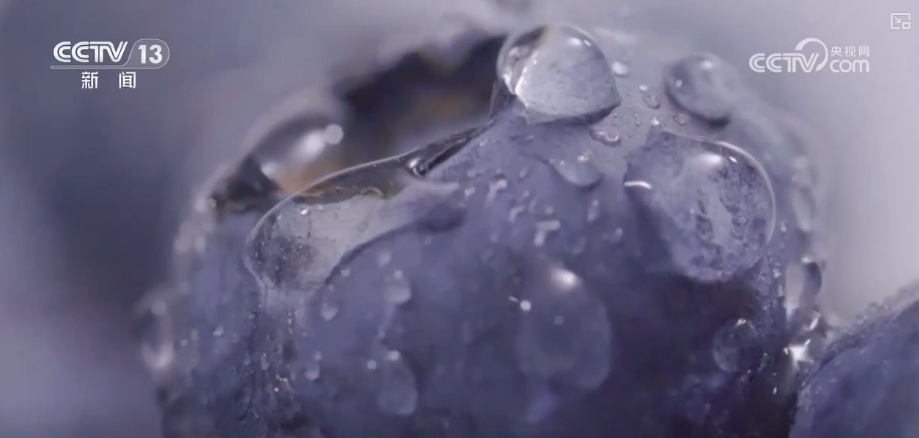 开盲盒!这些国货之光含“滇”量高!