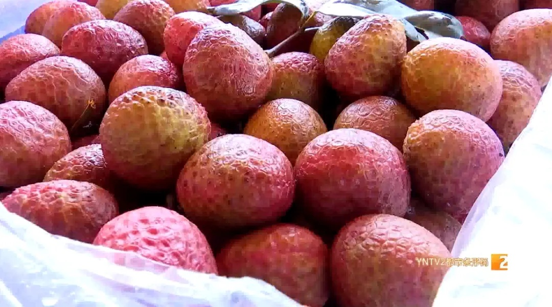 上市啦！这口香甜，很多云南人爱吃