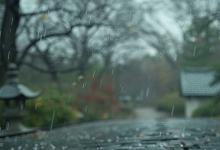 四川未来几天将迎明显降雨 局地将降温8℃或以上