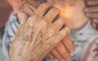 Elderly woman's hands close up