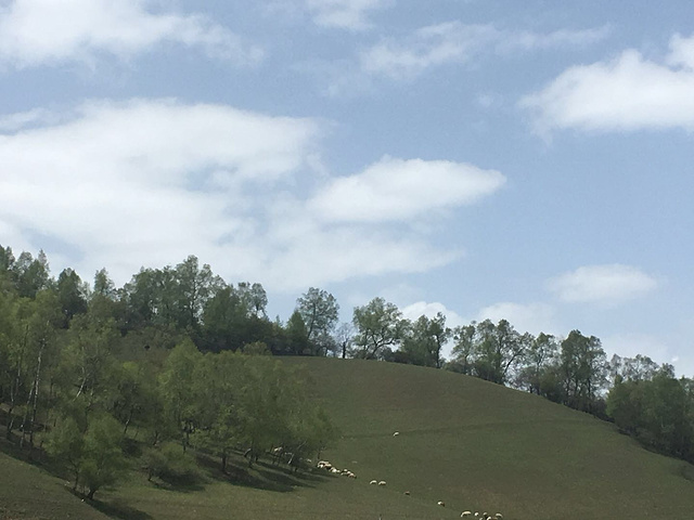 "路况很好,到关山牧场售票处,成人门票65,孩子32,车子5元,服务人员服务很好,热情,进入景区..._关山草原"的评论图片