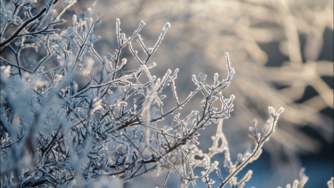 青海将迎来大范围强降雪天气 强降雪时段主要集中在5日