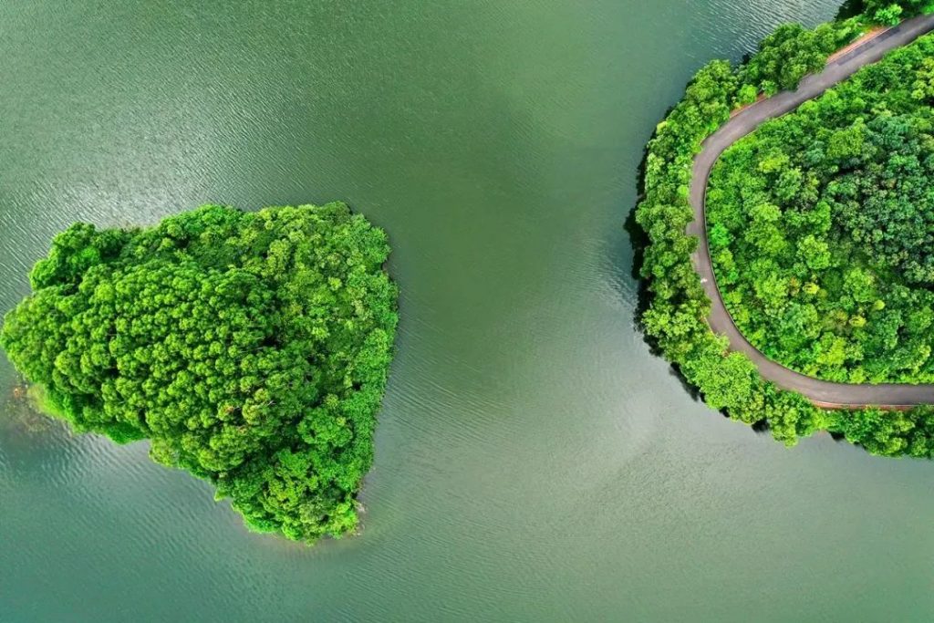 东莞旅游必去十大景点（东莞好玩又免费的地方）