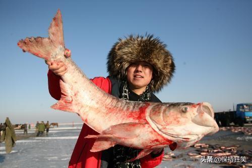 东北特产排行榜前十名(东北最有名的特产介绍)