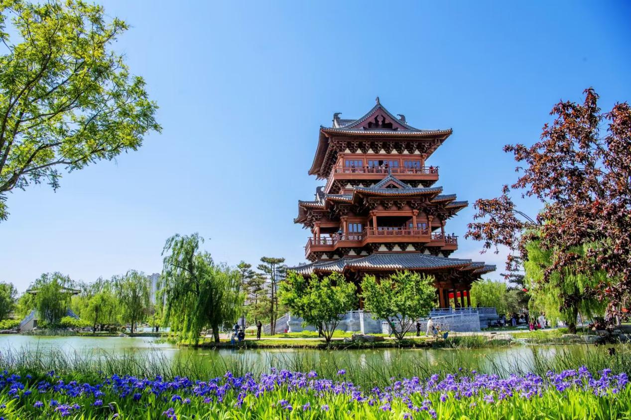 定州市众春园。白永民摄