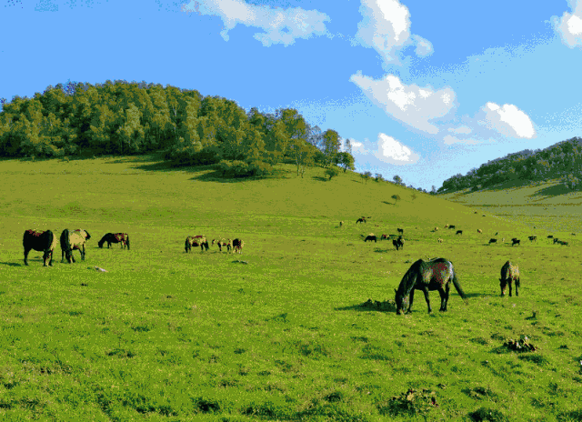 关山牧场吃住攻略,宝鸡关山牧场旅游攻略