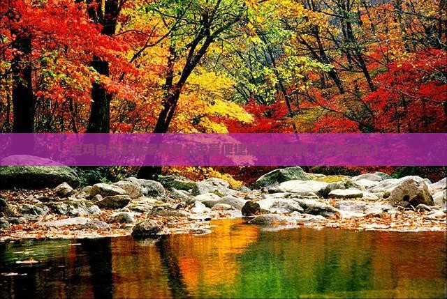 宝鸡自驾到张家界怎么走最便捷及旅游攻略(时长预估)