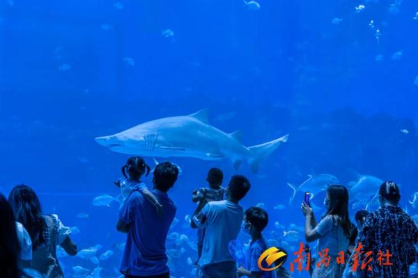 超全攻略!“五一”在南昌的千万别错过!