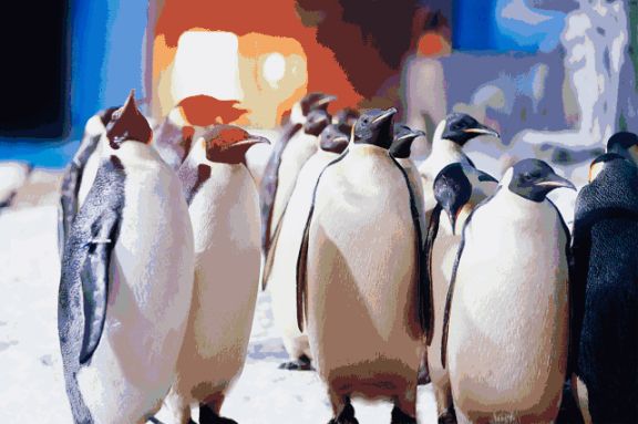 浦东临港有哪些景点 最全游玩指南出炉