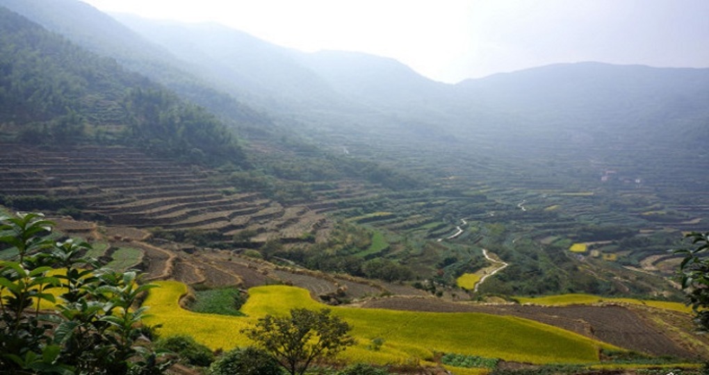 嵊州天气预报40周