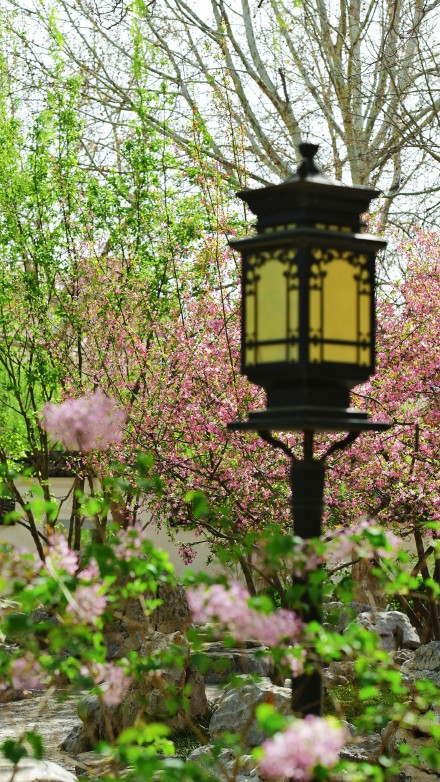 春天的你，喜欢打卡公园吗？