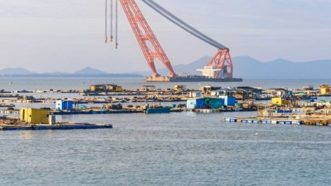 广东将迎来大风降温天气 春节期间以多云天气为主