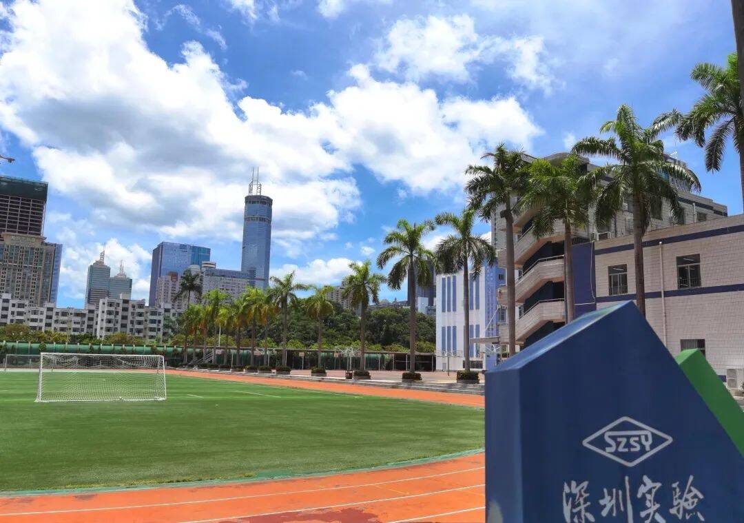 2022年深圳初中最新排名(全深圳初中一览表)-第15张图片-PPT汇