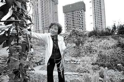 华山跳崖一家人:欠3亿无法偿还 4人同时跳下