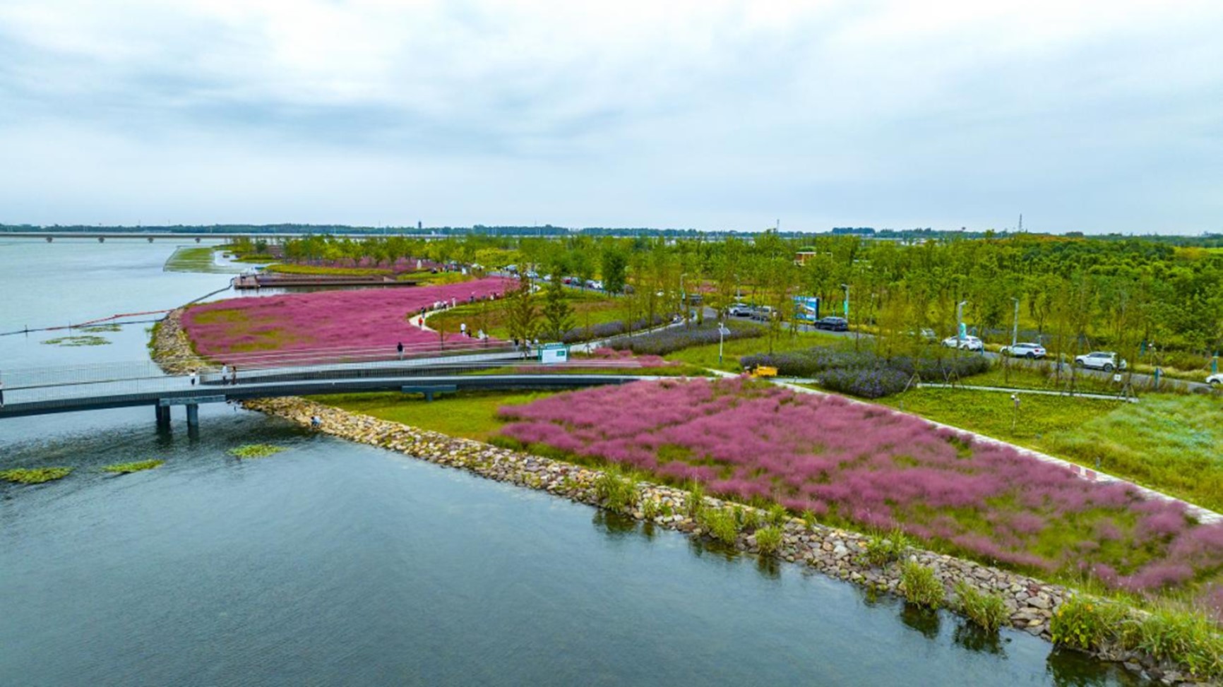 秋日“沪”水游丨青浦，江南秋日胜春朝