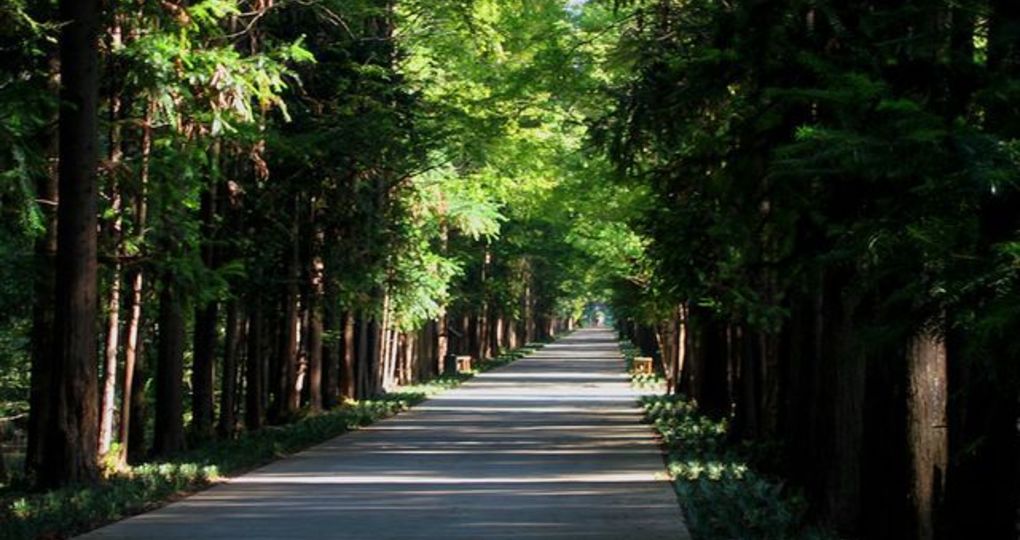 宝应天气预报30周