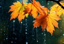 江苏明后两天将迎强降雨 需做好防雨防涝准备