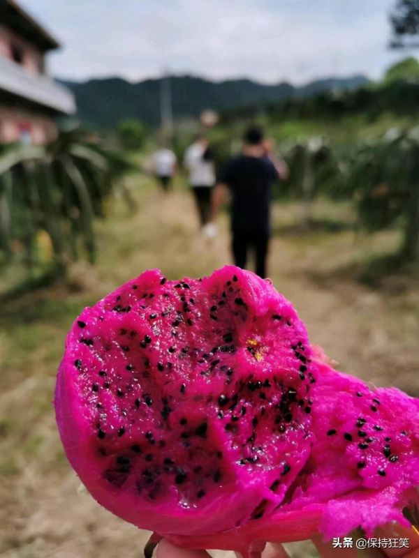 贵州十大土特产(贵州省十大特产及排行榜)