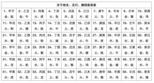 生辰八字与天干地支：命运的密码