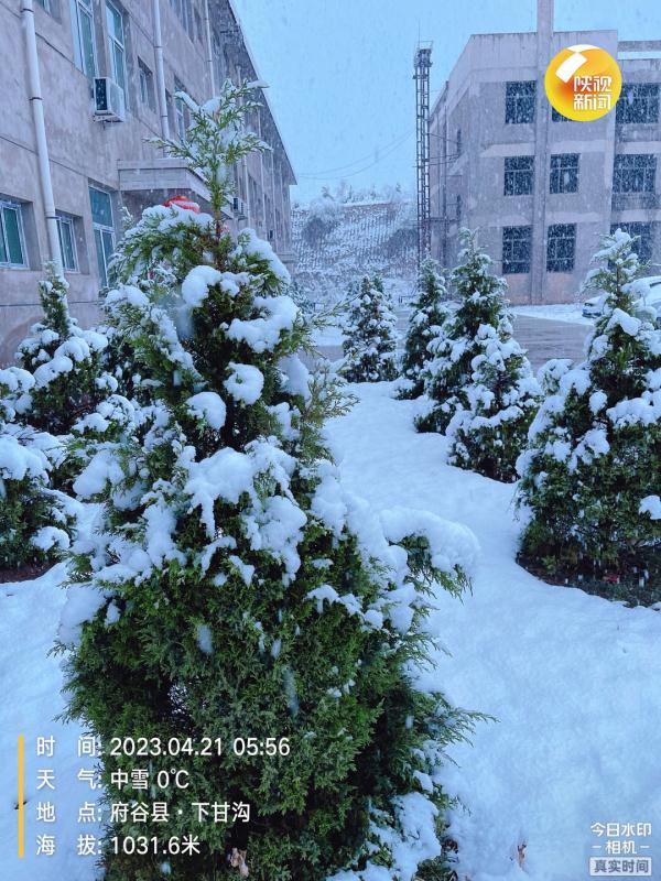 陕西发布最新预报:大雪,局地暴雪!