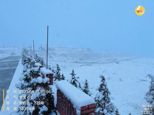 陕西发布最新预报:大雪,局地暴雪!