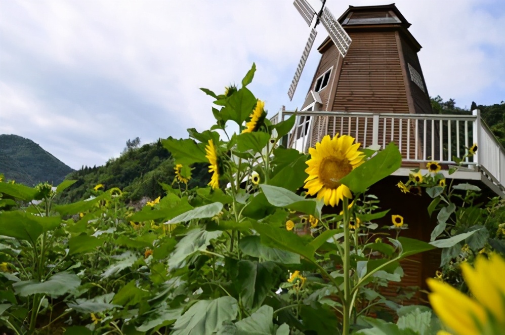 十堰旅游攻略景点必去(湖北十堰旅游景点大全排名)