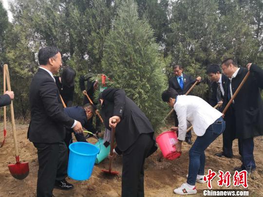 图为“侨胞林”植树活动。 阿琳娜 摄