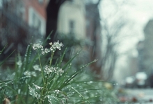 河北今日暴雨大风齐至 未来三天持续阴雨需警惕